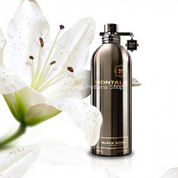 Montale Around The Aoud Black Aoud